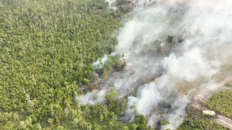 BPBD bersama tim gabungan berusaha memadamkan karhutla di Kabupaten Bulungan, Provinsi Kalimantan Utara, Selasa (18/8/2026). (Dok. BPBD Kabupaten Bulungan)