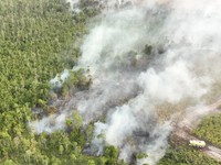 BPBD bersama tim gabungan berusaha memadamkan karhutla di Kabupaten Bulungan, Provinsi Kalimantan Utara, Selasa (18/8/2026). (Dok. BPBD Kabupaten Bulungan)