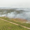 BPBD bersama tim gabungan berusaha memadamkan karhutla di Kabupaten Bulungan, Provinsi Kalimantan Utara, Selasa (18/8/2026). (Dok. BPBD Kabupaten Bulungan)
