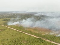 BPBD bersama tim gabungan berusaha memadamkan karhutla di Kabupaten Bulungan, Provinsi Kalimantan Utara, Selasa (18/8/2026). (Dok. BPBD Kabupaten Bulungan)