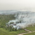 BPBD bersama tim gabungan berusaha memadamkan karhutla di Kabupaten Bulungan, Provinsi Kalimantan Utara, Selasa (18/8/2026). (Dok. BPBD Kabupaten Bulungan)