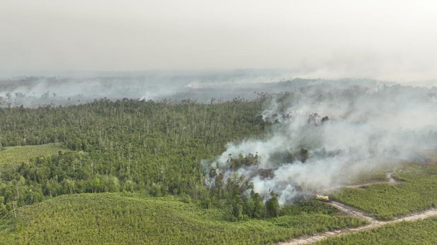BPBD bersama tim gabungan berusaha memadamkan karhutla di Kabupaten Bulungan, Provinsi Kalimantan Utara, Selasa (18/8/2026). (Dok. BPBD Kabupaten Bulungan)