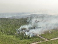 BPBD bersama tim gabungan berusaha memadamkan karhutla di Kabupaten Bulungan, Provinsi Kalimantan Utara, Selasa (18/8/2026). (Dok. BPBD Kabupaten Bulungan)