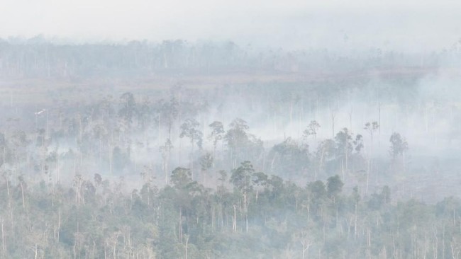 Kebakaran Kalimantan, Penerbangan Batal-Ratusan Penumpang Terdampak