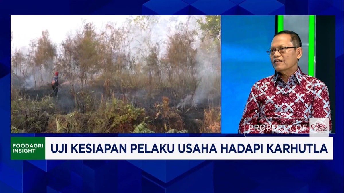 Video: Cegah Karhutla, Pengusaha Pakai Drone, CCTV - Deteksi Titik Api
