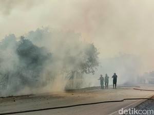 MUI Sulsel Luruskan Anggapan Asap Karhutla Dukhan Tanda Kiamat