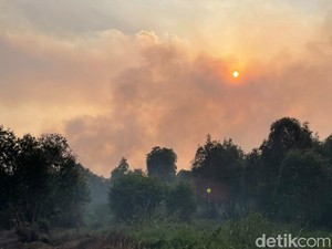 Mengapa Matahari Tampak Memerah di Tengah Karhutla? Ini Kata Pakar IPB
