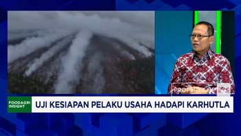 Kebakaran Hutan & Lahan Ancam Sumatra - Kalimantan, Pengusaha Lakukan Pencegahan