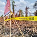 KLH/BPLH Lakukan Penyegelan di Konsesi PT Bintang Harapan Palma.  (dok. Kementerian Lingkungan Hidup)