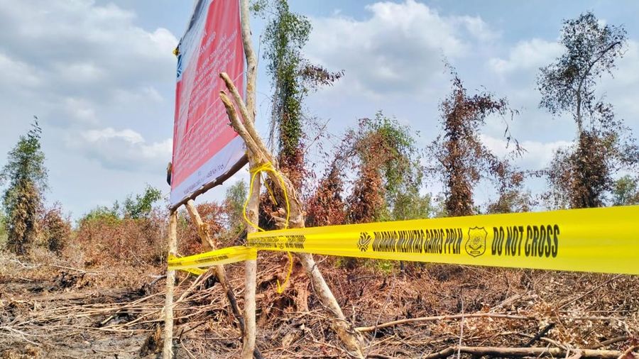 KLH/BPLH Lakukan Penyegelan di Konsesi PT Bintang Harapan Palma.  (dok. Kementerian Lingkungan Hidup)