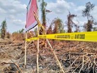 KLH/BPLH Lakukan Penyegelan di Konsesi PT Bintang Harapan Palma.  (dok. Kementerian Lingkungan Hidup)