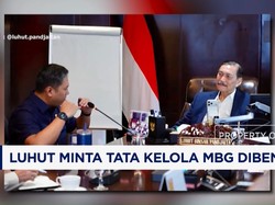 Luhut Minta Tata Kelola MBG Dibenahi