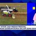 Pasokan Gandum Murah Terancam Perang Rusia Vs Ukraina, Harga Mie - Serelia Naik?