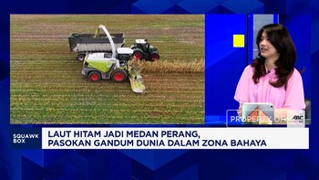 Pasokan Gandum Murah Terancam Perang Rusia Vs Ukraina, Harga Mie - Serelia Naik?