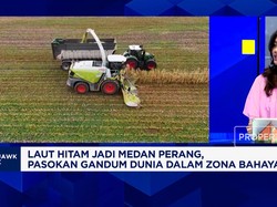 Pasokan Gandum Murah Terancam Perang Rusia Vs Ukraina, Harga Mie - Serelia Naik?