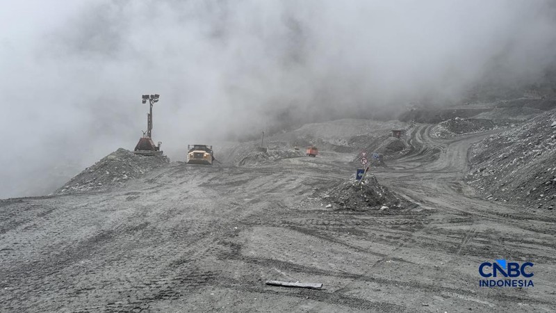 PT Freeport Indonesia (PTFI) memiliki area pertambangan tembaga terbesar di dunia.