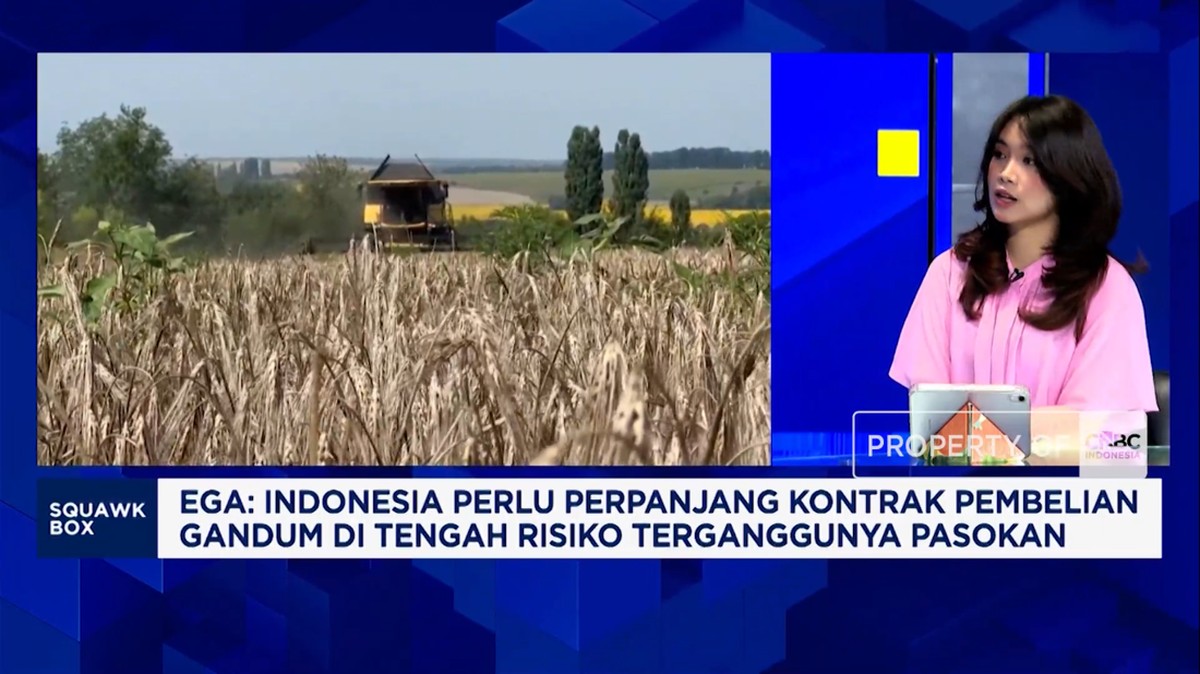 Video: Masih Tergantung Impor Gandum Era Perang, RI Harus Apa?