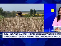 RI "Kecanduan" Impor Gandum Tapi Pasokan Terganggu Perang, RI Harus Apa?