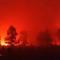 Hutan Taman Nasional Way Kambas, Kabupaten Lampung Timur, Lampung, terbakar. (Dok. Istimewa)