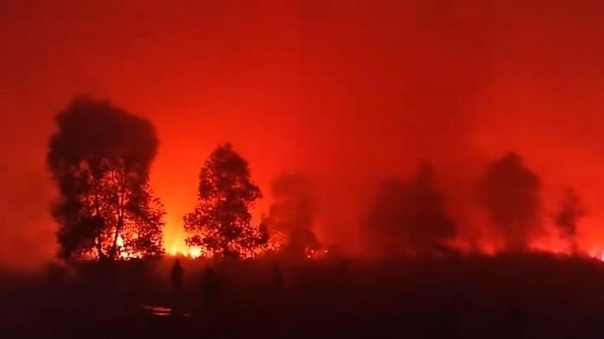 Taman Nasional Way Kambas Kebakaran Sejak Jumat Siang