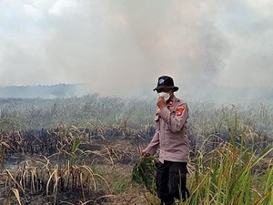 Kebakaran di Taman Nasional Way Kambas Belum Bisa Dipadamkan
