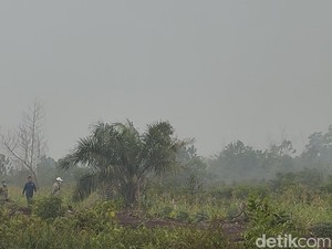 Kalbar Perpanjang Status Tanggap Darurat Asap Karhutla hingga 20 September
