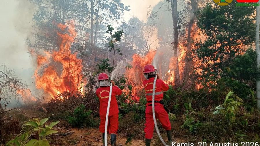 Petugas gabungan berupaya memadamkan api di Kecamatan Muara Bulian, Kabupaten Batang Hari, Provinsi Jambi (21/8/2026). (Dok. BPBD Kabupaten Batang Hari)