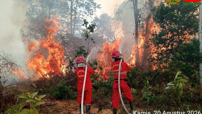 Kalimantan Dikepung 1.842 Titik Panas, Kalteng Sumbang Terbanyak