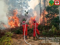 Petugas gabungan berupaya memadamkan api di Kecamatan Muara Bulian, Kabupaten Batang Hari, Provinsi Jambi (21/8/2026). (Dok. BPBD Kabupaten Batang Hari)