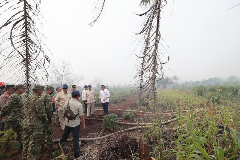 Presiden Prabowo Subianto tinjau lokasi kebakaran htan di Kalimantan Barat, Sabtu (22/8/2026). (Instagram/sekretariat.kabinet)