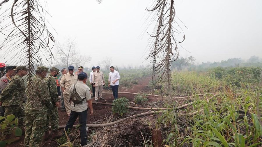 Presiden Prabowo Subianto tinjau letak kebakaran htan di Kalimantan Barat, Sabtu (22/8/2026). (Instagram/sekretariat.kabinet)