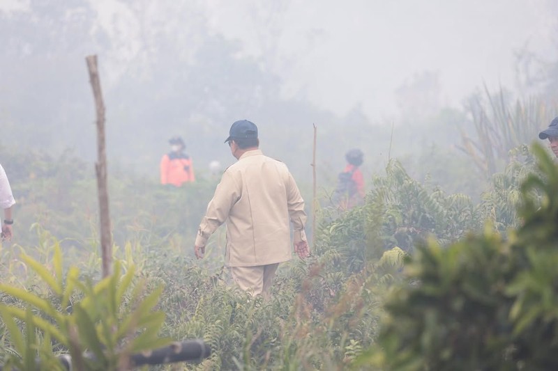 Presiden Prabowo Subianto tinjau lokasi kebakaran htan di Kalimantan Barat, Sabtu (22/8/2026). (Instagram/sekretariat.kabinet)