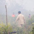 Presiden Prabowo Subianto tinjau lokasi kebakaran htan di Kalimantan Barat, Sabtu (22/8/2026). (Instagram/sekretariat.kabinet)