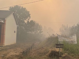 Kasus ISPA Buntut Karhutla Kalimantan, Kemenkes Bangun Posko Bencana Asap
