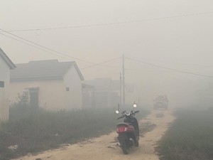 Karhutla di Banjarbaru Dekati Perumahan, Warga Mengungsikan Anak Istri