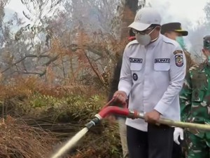 Sekolah Terdampak Karhutla di Pelalawan Diliburkan Mulai Besok