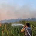 Kebakaran hutan dan lahan (karhutla) yang terjadi di kawasan Taman Nasional Way Kambas (TNWK), Kabupaten Lampung Timur, berhasil dipadamkan pada Sabtu (22/8/2026) malam. (Dok. Polda Lampung)
