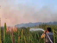 Kebakaran hutan dan lahan (karhutla) yang terjadi di kawasan Taman Nasional Way Kambas (TNWK), Kabupaten Lampung Timur, berhasil dipadamkan pada Sabtu (22/8/2026) malam. (Dok. Polda Lampung)