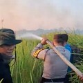 Kebakaran hutan dan lahan (karhutla) yang terjadi di kawasan Taman Nasional Way Kambas (TNWK), Kabupaten Lampung Timur, berhasil dipadamkan pada Sabtu (22/8/2026) malam. (Dok. Polda Lampung)