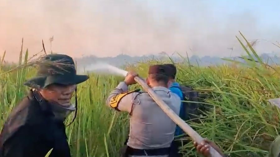 Kebakaran hutan dan lahan (karhutla) yang terjadi di kawasan Taman Nasional Way Kambas (TNWK), Kabupaten Lampung Timur, berhasil dipadamkan pada Sabtu (22/8/2026) malam. (Dok. Polda Lampung)