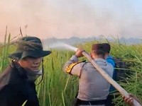 Kebakaran hutan dan lahan (karhutla) yang terjadi di kawasan Taman Nasional Way Kambas (TNWK), Kabupaten Lampung Timur, berhasil dipadamkan pada Sabtu (22/8/2026) malam. (Dok. Polda Lampung)