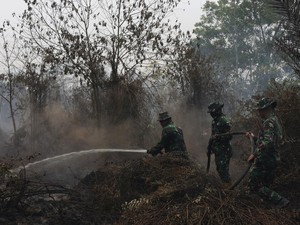 Update Karhutla: 3.947 Titik Panas di Kalteng, 2.825 Hotspot di Kalbar