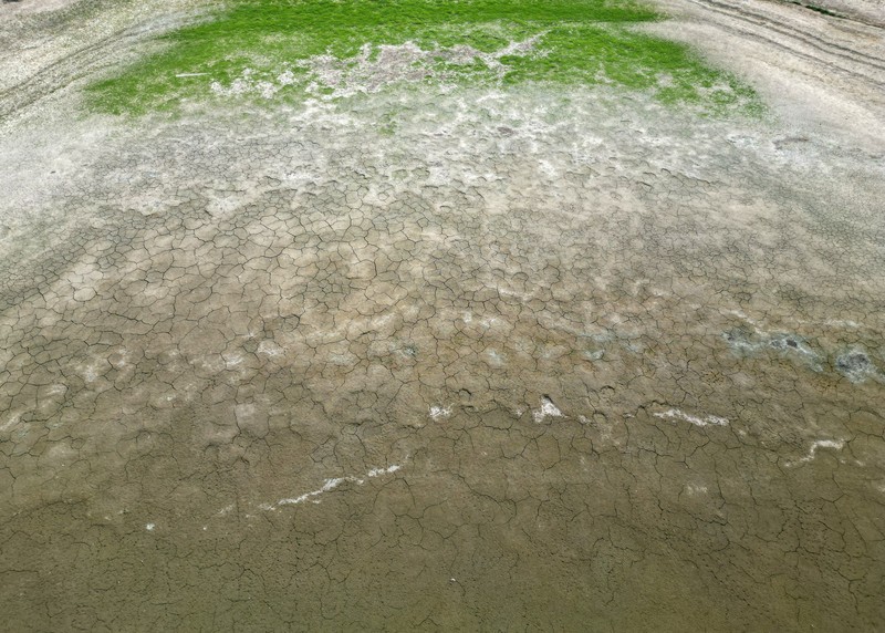 Penurunan permukaan air di Waduk Hanningfield dekat Chelmsford, Inggris, Sabtu (22/8/2026). (REUTERS/Hannah McKay)