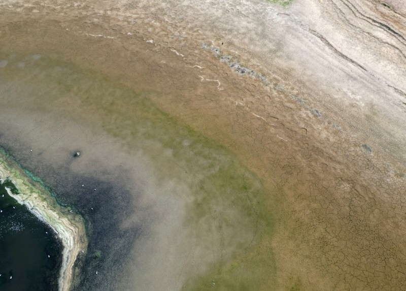 Penurunan permukaan air di Waduk Hanningfield dekat Chelmsford, Inggris, Sabtu (22/8/2026). (REUTERS/Hannah McKay)