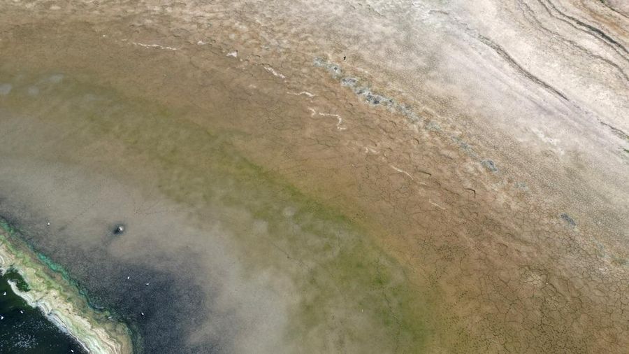 Penurunan permukaan air di Waduk Hanningfield dekat Chelmsford, Inggris, Sabtu (22/8/2026). (REUTERS/Hannah McKay)