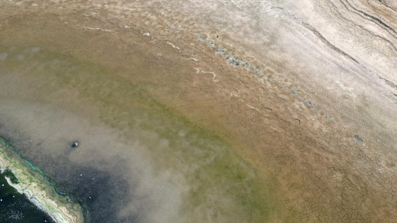 Penurunan permukaan air di Waduk Hanningfield dekat Chelmsford, Inggris, Sabtu (22/8/2026). (REUTERS/Hannah McKay)