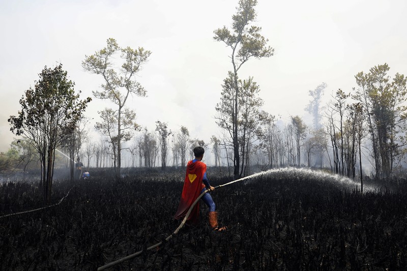 Rudiyansah, 16 tahun, mengenakan kostum Superman saat memadamkan api di area yang terdampak kebakaran hutan dan lahan di Palangka Raya, Provinsi Kalimantan Tengah, Jumat (14/8/2026). (REUTERS/Ajeng Dinar Ulfiana)