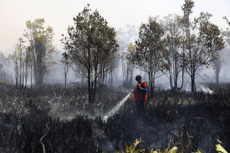 Rudiyansah, 16 tahun, mengenakan kostum Superman saat memadamkan api di area yang terdampak kebakaran hutan dan lahan di Palangka Raya, Provinsi Kalimantan Tengah, Jumat (14/8/2026). (REUTERS/Ajeng Dinar Ulfiana)