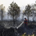 Rudiyansah, 16 tahun, mengenakan kostum Superman saat memadamkan api di area yang terdampak kebakaran hutan dan lahan di Palangka Raya, Provinsi Kalimantan Tengah, Jumat (14/8/2026). (REUTERS/Ajeng Dinar Ulfiana)