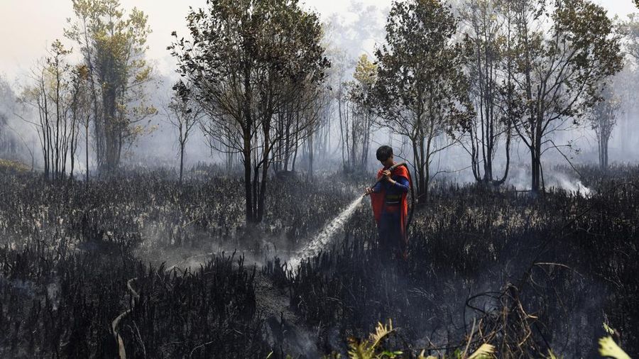 Rudiyansah, 16 tahun, mengenakan kostum Superman saat memadamkan api di area nan terdampak kebakaran rimba dan lahan di Palangka Raya, Provinsi Kalimantan Tengah, Jumat (14/8/2026). (REUTERS/Ajeng Dinar Ulfiana)